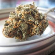 Marijuana Delivery Form