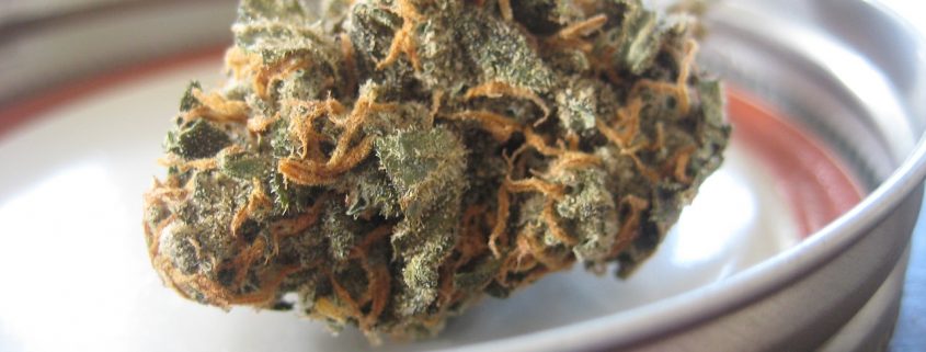 Marijuana Delivery Form